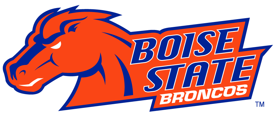 Boise State Broncos 2002-2012 Secondary Logo v30 diy iron on heat transfer